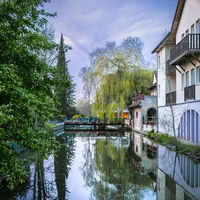 Le Moulin XII