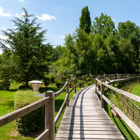Le Moulin XII