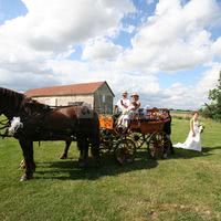 PROMENADE EN CALECHE