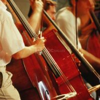 Abbaye aux dames, la cité musicale