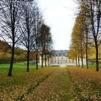 L'avant cour