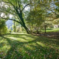 Parc du chateau