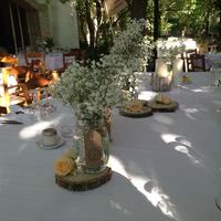 Rondins et fleurs champêtres