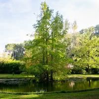 Étang du Pré du Moulin