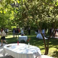 Mariage dans le parc