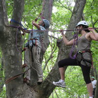 Accro branches dans notre parc