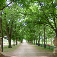 Grande allee d'accueil