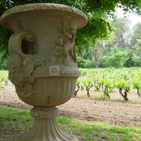 Notre vignoble