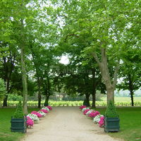 Parc arbore de 4 hectares