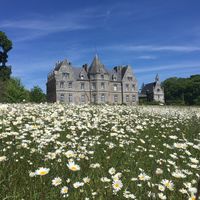 Le temps des marguerites