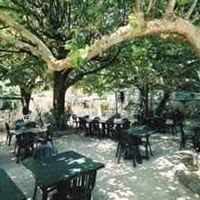 Goldfinger (terrasse)