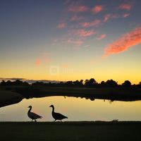Blue Green Golf de Pessac