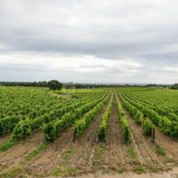 Château Valmy Vall Maria