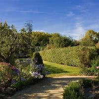 Le jardin