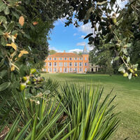 Le parc et sa pelouse