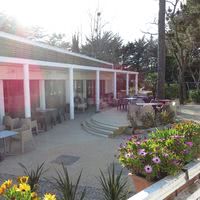 Casino des Pins