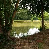 Le Domaine du Chalonge