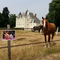 Le Domaine du Chalonge