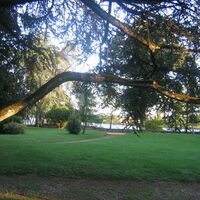 Ballade dans le parc vers le rhône