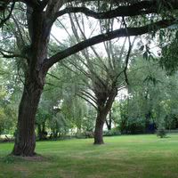 Parc arboré sécurisé