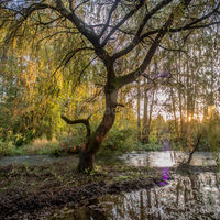 Vue de la SALLE LOUNGE