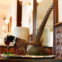 Hostellerie de l'Écu de Bretagne