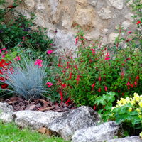 Le Parc fleuri