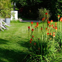Le Parc fleuri