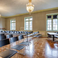 Salon David Weill