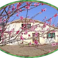 Le Clos des Oiseaux