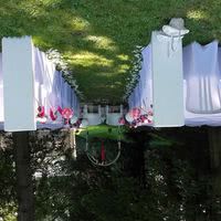 Cérémonie laique en extérieur
