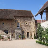La cour