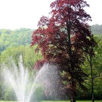 Notre magnifique fontaine