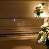 Votre Ambiance Piano Bar