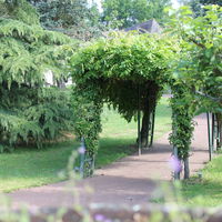 Espace la Patulière - Arche
