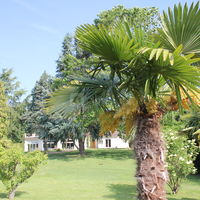 Espace la Patulière - Parc