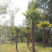 Espace la Renarde - Jardin arboré