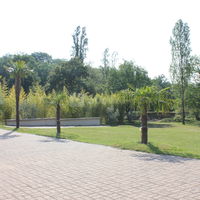 Espace la Renarde - Terrasse