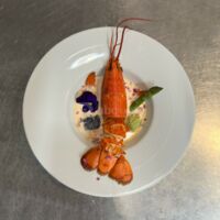 Plat