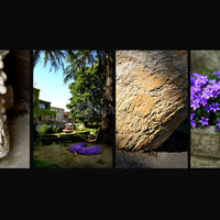 Château Bas d'Aumelas