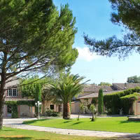 Parc sous les pins