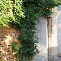 Domaine de la Ruisselière