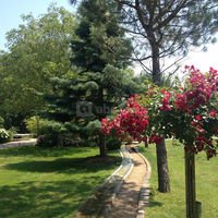 Domaine de la Ruisselière
