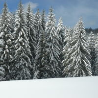Vosges en hiver