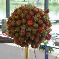 Campus Saint Christophe