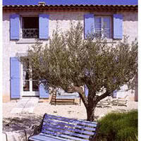 Le jardin