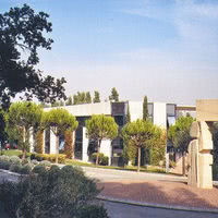 Vue