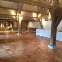 Extension dans le Vert Galant