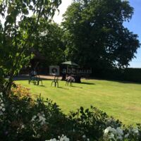 Musique classique dans le parc