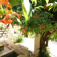 L'ancien lavoir du Domaine